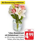 E center Mössingen - Lilien-Rosenstrauß mit Schleierkraut Angebot im Prospekt Lilien-Rosenstrauß mit Schleierkraut bei E center im Mössingen Prospekt für 4,99 €