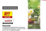 toom Baumarkt Agathenburg - Pinienrinde Angebot im Prospekt Pinienrinde bei toom Baumarkt im Agathenburg Prospekt für 9,99 €