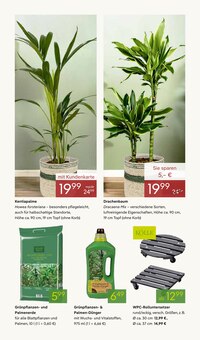 Gartenmöbel im Pflanzen Kölle Prospekt "VALENTINSTAG" mit 14 Seiten (Fürth)