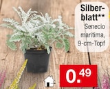 Silberblatt im aktuellen Zimmermann Prospekt