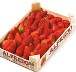 Aktuelle Erdbeeren Angebote bei Netto mit dem Scottie in Kiel Aktuelles Erdbeerstiege Angebot bei Netto mit dem Scottie in Kiel ab 5,49 €