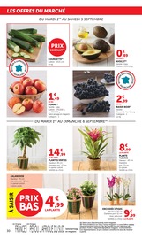 Promos Fleurs dans le catalogue "U Express" de U Express Fleurs en promo dans le catalogue U Express à la page 30