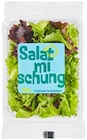 Salatmischung bei REWE im Bad Endbach Prospekt für 0,99 €