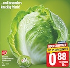 Eisbergsalat Angebote von GUT&GÜNSTIG bei EDEKA Potsdam für 0,88 €