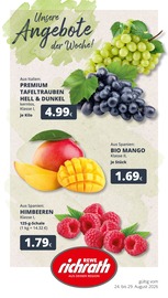 Bio im REWE Prospekt in Bergheim Aktueller REWE Prospekt mit Bio, "Dein Markt", Seite 1