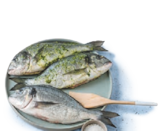Bio-Dorade im tegut Prospekt Bio-Dorade von im aktuellen tegut Prospekt für 2,99 €