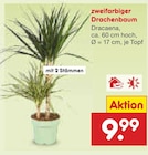 Netto Marken-Discount Simmerath Prospekt mit  im Angebot für 9,99 €