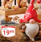 Wichtel Angebote bei GLOBUS Bochum für 19,99 €