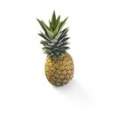 Ananas im Angebot bei Lidl in Köln Ananas Angebote bei Lidl Köln für 1,25 €