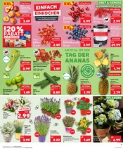 Aktueller Kaufland Prospekt mit Erdbeeren, "Aktuelle Angebote", Seite 5