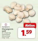 nah&frisch Mettingen - Champignons weiß Angebot im Prospekt Champignons weiß bei nah&frisch im Mettingen Prospekt für 1,59 €
