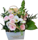 Präsenttaschen bei Marktkauf im Mölln Prospekt für 9,99 €