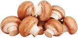 Braune Bio Champignons im Angebot bei REWE in Herne Braune Bio Champignons Angebote von REWE Bio bei REWE Herne für 1,79 €