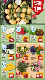 Ähnliche Angebote wie Tulpen im Prospekt "Dein Markt" auf Seite 9 von REWE in Germering
