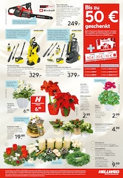 Drucker im Hellweg Prospekt in Rheda-Wiedenbrück Aktueller Hellweg Prospekt mit Drucker, "Die Profi-Baumärkte", Seite 15