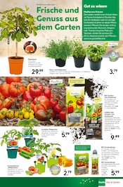 Aktueller BayWa Bau- und Gartenmärkte Prospekt mit Gartenerde, "Jubiläums-angebote", Seite 13