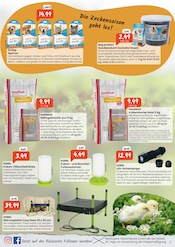 Beleuchtung im Raiffeisen Rhein-Ahr-Eifel Handelsgesellschaft mbH Prospekt in Trier Aktueller Raiffeisen Rhein-Ahr-Eifel Handelsgesellschaft mbH Prospekt mit Beleuchtung, "Beerenstark in die Saison", Seite 7