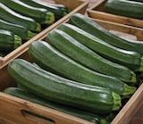 Promo Courgette à 1,19 € dans le catalogue Netto à Distré