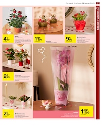 Offre Kalanchoë dans le catalogue Carrefour du moment à la page 9