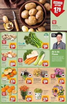 Kartoffeln im REWE Prospekt "Dein Markt" mit 26 Seiten (Ludwigshafen (Rhein))