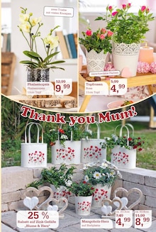 Blumentopf im Garten-Center Nordharz GmbH & Co. KG Prospekt "SUMMER TIME!" mit 16 Seiten (Hildesheim)