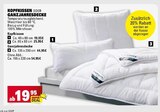 Kopfkissen Angebote bei E center Ulm für 19,95 €