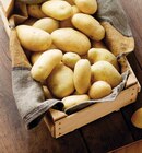 Intermarché Express Saint-Gratien - Promo Pomme de Terre de Consommation Nouvelle Récolte Promo Pomme de Terre de Consommation Nouvelle Récolte à 1,99 € dans le catalogue Intermarché Express à Saint-Gratien