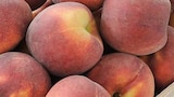 Promo Pêche blanche et/ou jaune à 2,49 € dans le catalogue Intermarché à La Chapelle-Saint-Mesmin