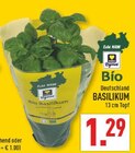 Aktuelles Bio Basilikum Angebot bei Marktkauf in Düsseldorf ab 1,29 €