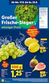 Zitronen im Lidl Prospekt in Mannheim Aktueller Lidl Prospekt mit Zitronen, "LIDL LOHNT SICH", Seite 2