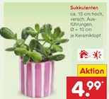 Sukkulenten im Angebot bei Netto Marken-Discount in Stuttgart Sukkulenten Angebote bei Netto Marken-Discount Stuttgart für 4,99 €