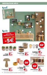 Offre Plante En Pot dans le catalogue Super U du moment à la page 4