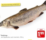 Saiblinge Angebote bei E center Stuttgart für 1,99 €