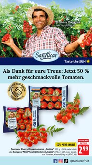 Gemüse im EDEKA Prospekt "Aktuelle Angebote" mit 60 Seiten (Pforzheim)
