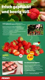 Erdbeeren Angebot im aktuellen Penny-Markt Prospekt auf Seite 4