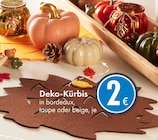 Deko-Kürbis Angebote bei TEDi Neumünster für 2,00 €