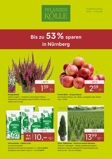 Äpfel im aktuellen Pflanzen Kölle Prospekt (Fürth) Äpfel im Pflanzen Kölle Prospekt "Bis zu 53% sparen in Nürnberg" mit 4 Seiten (Fürth)