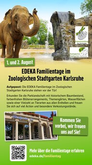 Bohrmaschine im aktuellen E center Prospekt (Darmstadt) Bohrmaschine im E center Prospekt "Aktuelle Angebote" mit 62 Seiten (Darmstadt)