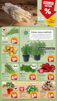 Kartoffeln im aktuellen REWE Prospekt (Ludwigshafen (Rhein)) Kartoffeln im REWE Prospekt "Dein Markt" mit 20 Seiten (Ludwigshafen (Rhein))