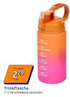 Trinkflasche bei Action im Ingolstadt Prospekt für 2,29 €