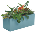 Jardinière Kebe à Les Compagnons des saisons dans Hillion Jardinière Kebe à Les Compagnons des saisons dans Hillion