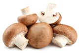 Aktuelles BRAUNE CHAMPIGNONS Angebot bei REWE in Köln ab 1,49 €