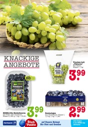 Bio im E center Prospekt in Offenbach Aktueller E center Prospekt mit Bio, "Aktuelle Angebote", Seite 2
