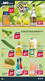Cocktail im Netto mit dem Scottie Prospekt in Chemnitz Aktueller Netto mit dem Scottie Prospekt mit Cocktail, "Günstig. Besser. Für Dich.", Seite 16