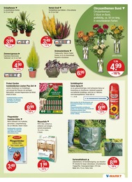 V-Markt Insektenschutz im Prospekt 