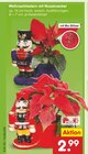 Weihnachtsstern mit Nussknacker Angebote bei Netto Marken-Discount Wismar für 2,99 €