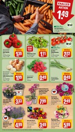 Ähnliche Angebote wie Tomatenpflanze im Prospekt "Dein Markt" auf Seite 9 von REWE in Gera