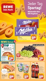 REWE Prospekt der aktuellen Woche, gültig von 17.08.2026 bis 22.08.2026 Aktueller REWE Prospekt "Dein Markt" mit 22 Seiten