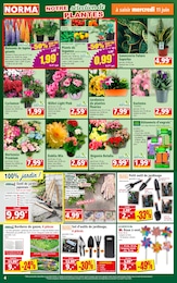 Offre Imprimante dans le catalogue Norma du moment à la page 4