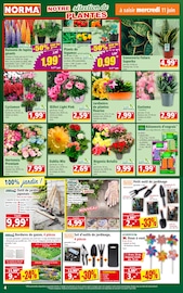 Imprimante Angebote im Prospekt "Votre Discounter Régional" von Norma Imprimante Angebote im Prospekt "Votre Discounter Régional" von Norma auf Seite 4